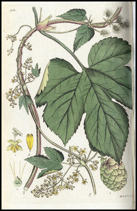 1807b_plate_large.jpg
