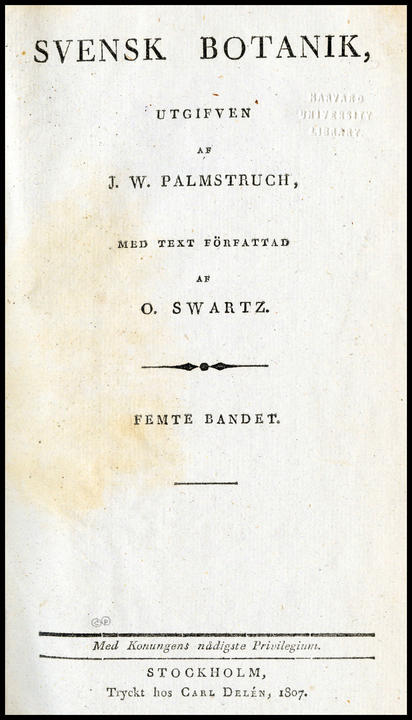 1807b_tp_large.jpg