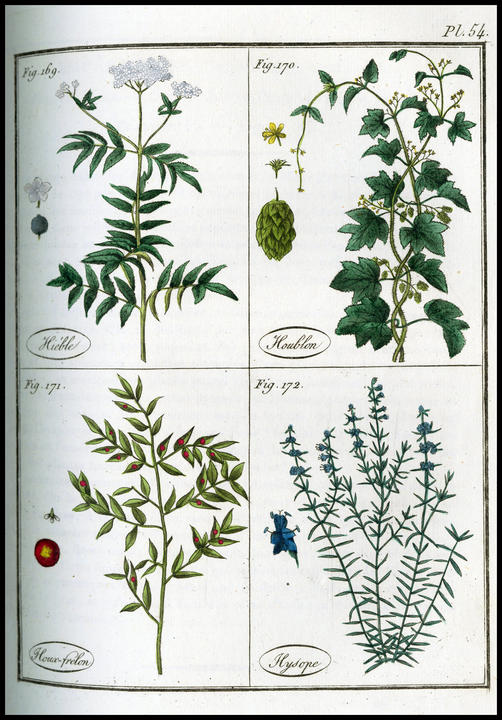 1809_plate_large.jpg