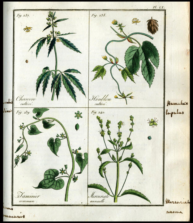 1812_plate_large.jpg
