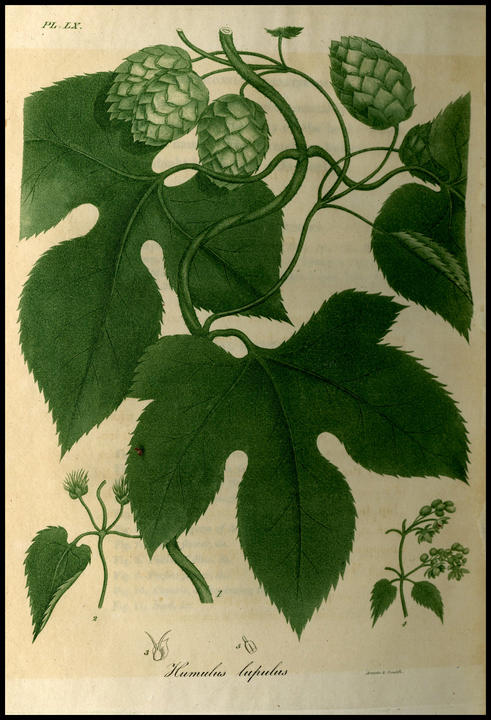 1821_plate_large.jpg