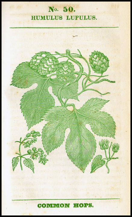 1828_plate_large.jpg