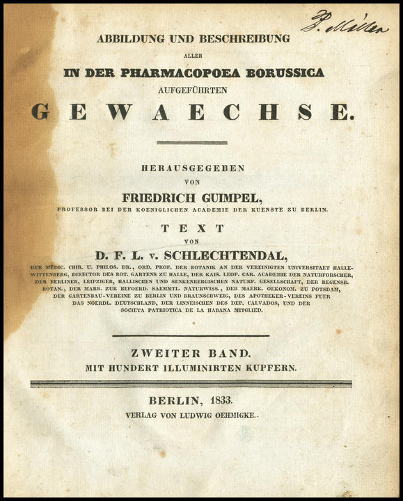 1833_tp_large.jpg