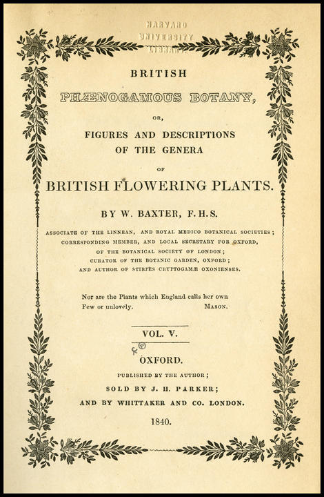 1840_tp_large.jpg
