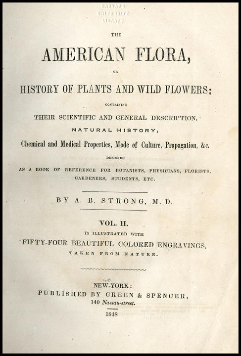 1848_tp_large.jpg