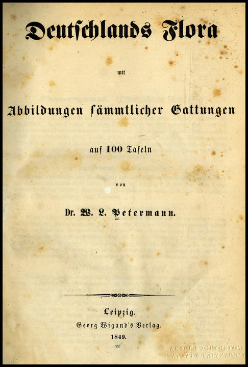 1849_tp_large.jpg