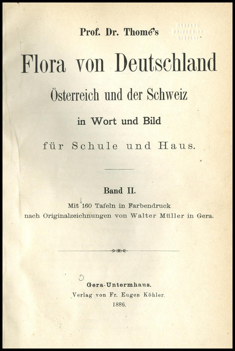 1886_tp_large.jpg