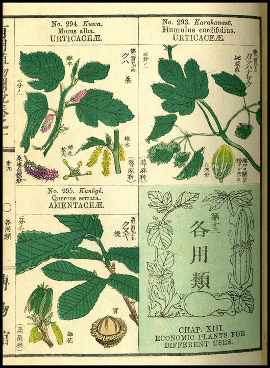 1895_plate_large.jpg