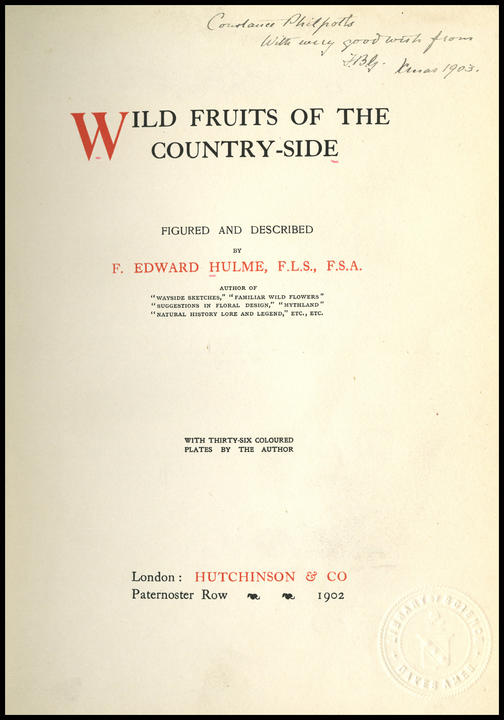 1902_tp_large.jpg