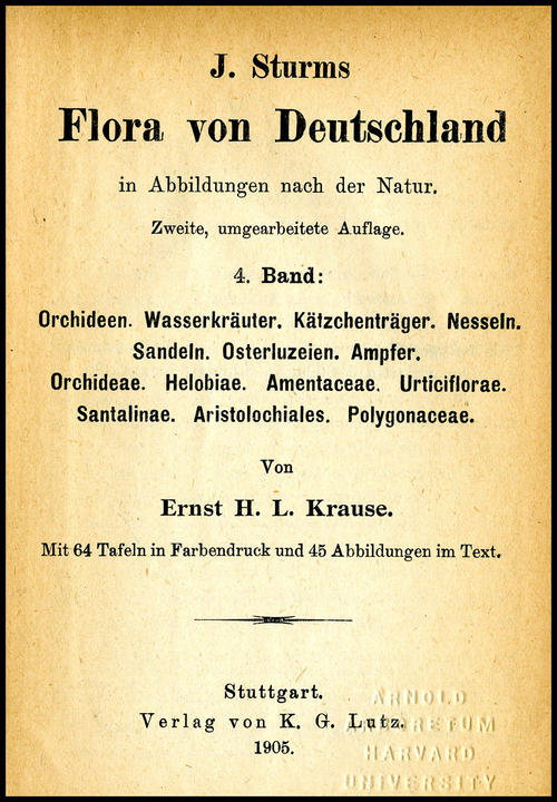 1905_tp_large.jpg