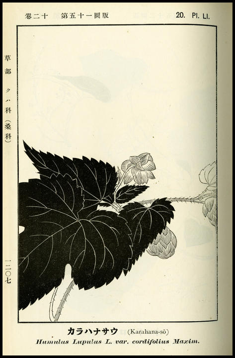 1907_plate_large.jpg