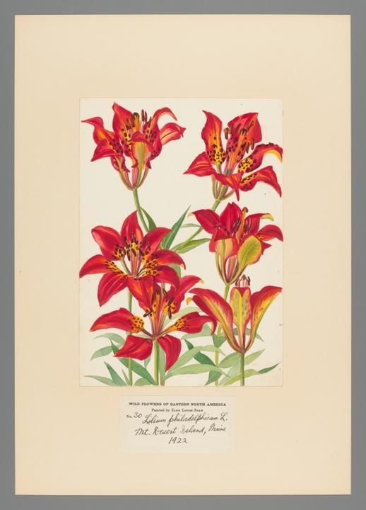 bi_gra00025_shaw_0030_slide_0.jpg