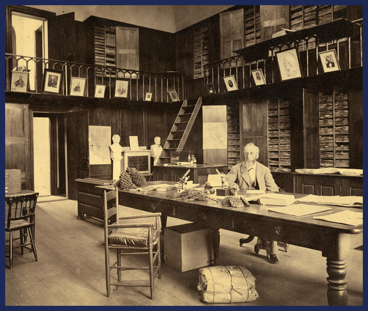 bio_herbarium.jpg