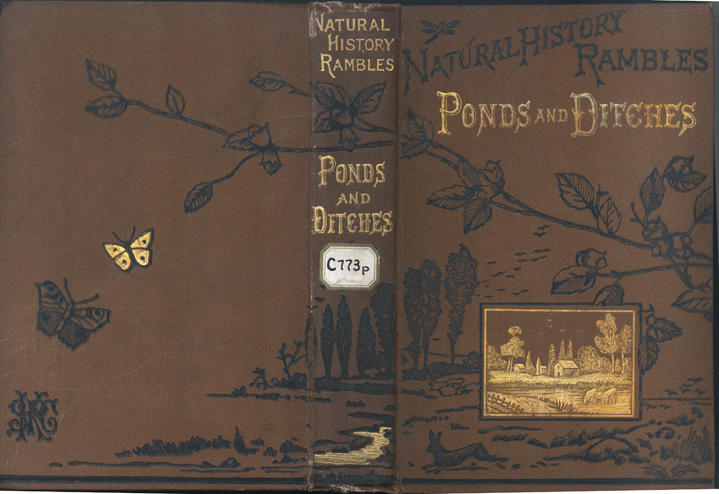 books_cover_13.jpg