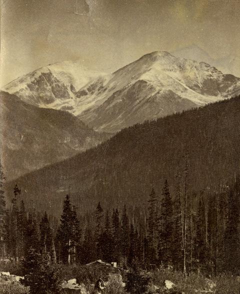 '