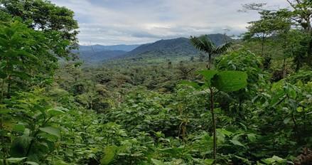 Tropical Andean-Amazonian interface of Ecuador