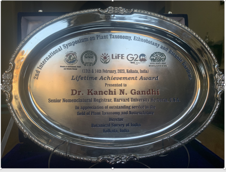 lifetime achievement award