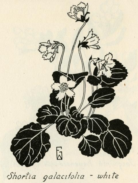 '