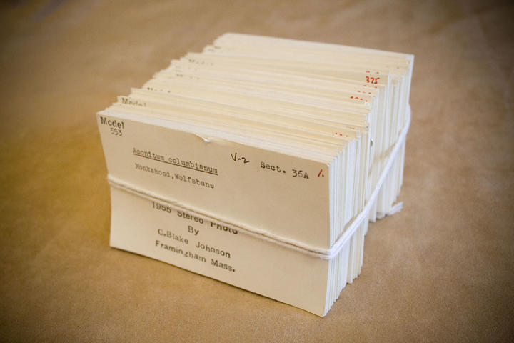 web_cards.jpg