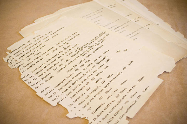 web_typed_papers.jpg