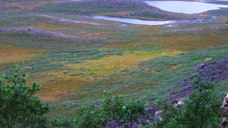 Norse settlement in Western Greenland