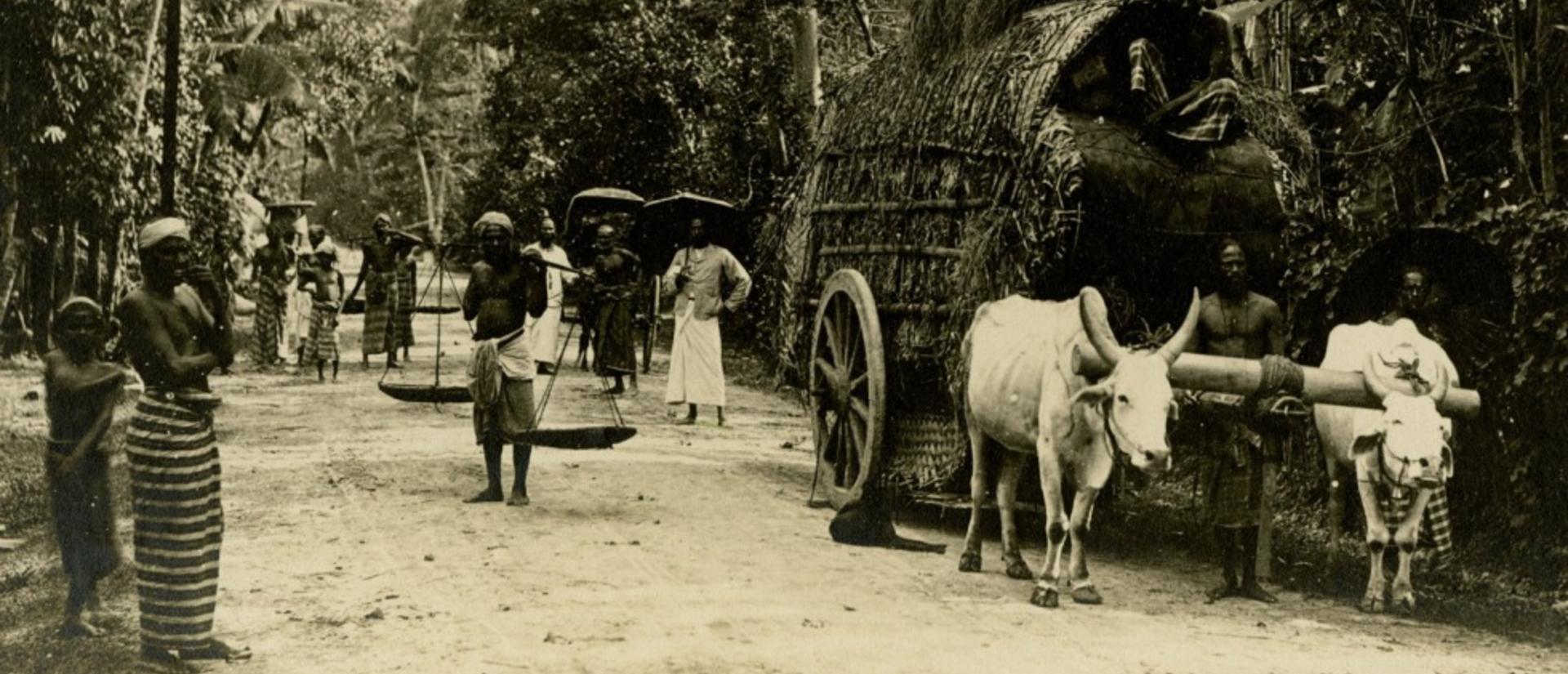 Sepia-toned photograph of a country road in Ceylon with people walking, ox-drawn carts carrying large loads of hay or goods, and dense trees lining both sides of the road