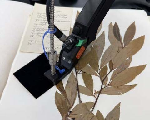 IHerbSpec